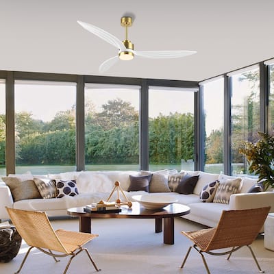 WINGBO 64-inch 3-Blades Indoor Celiing Fan with LED Light, White