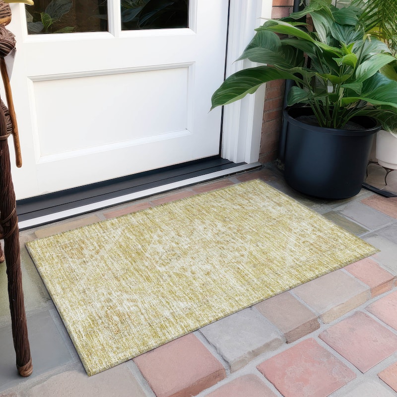 Machine Washable Indoor/ Outdoor Vintage Traditional Chantille Rug