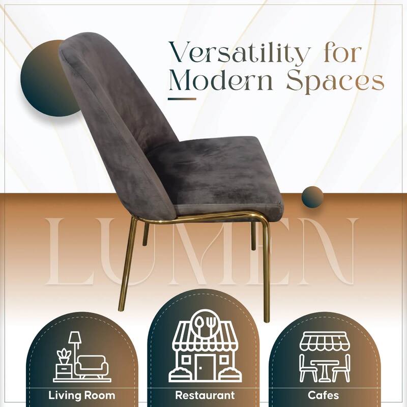 Lumen Modern Upholstered Kitchen Dining Chair with Gold Steel Legs Ergonomic Accent Chair