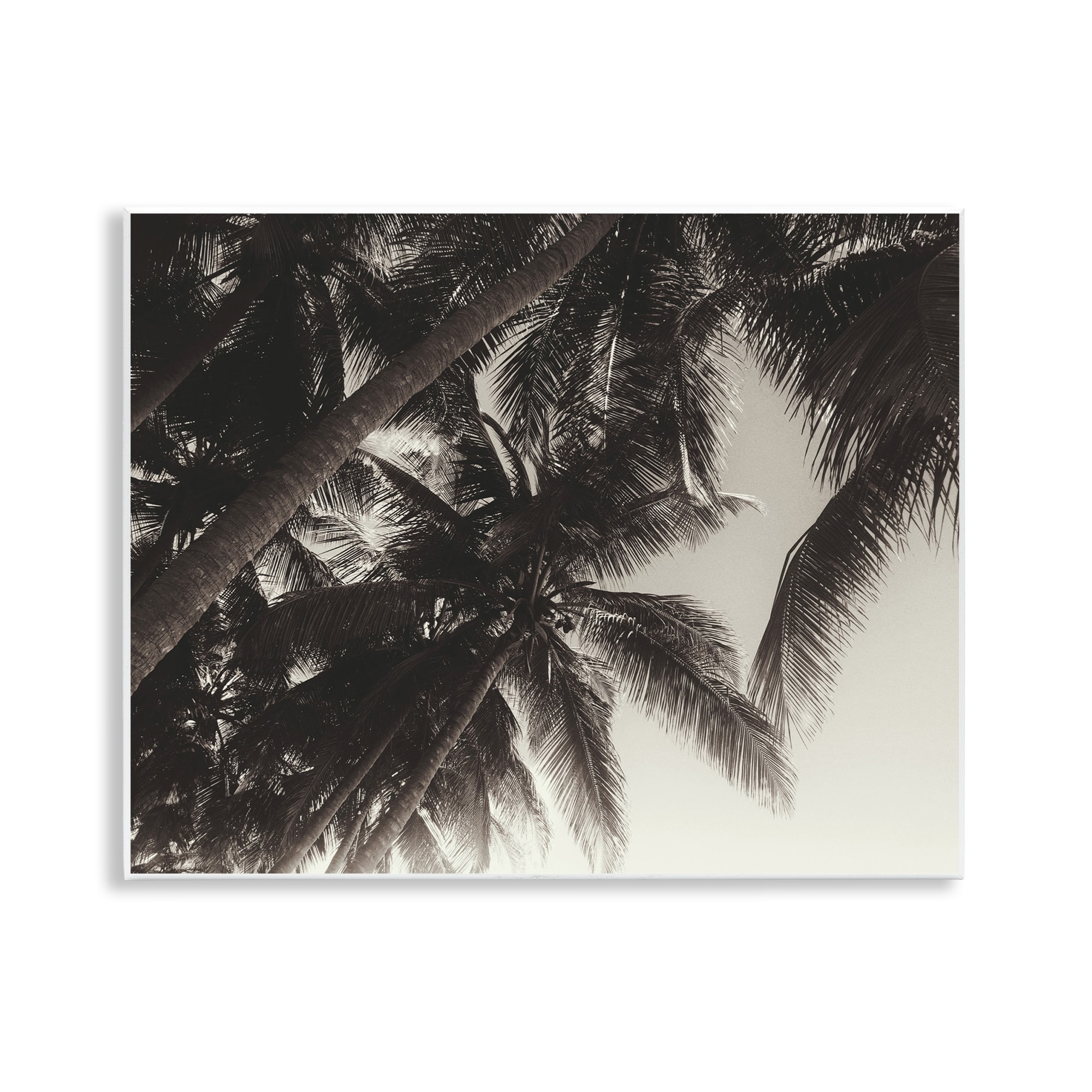 product-thumb