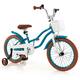 Option Turquoise