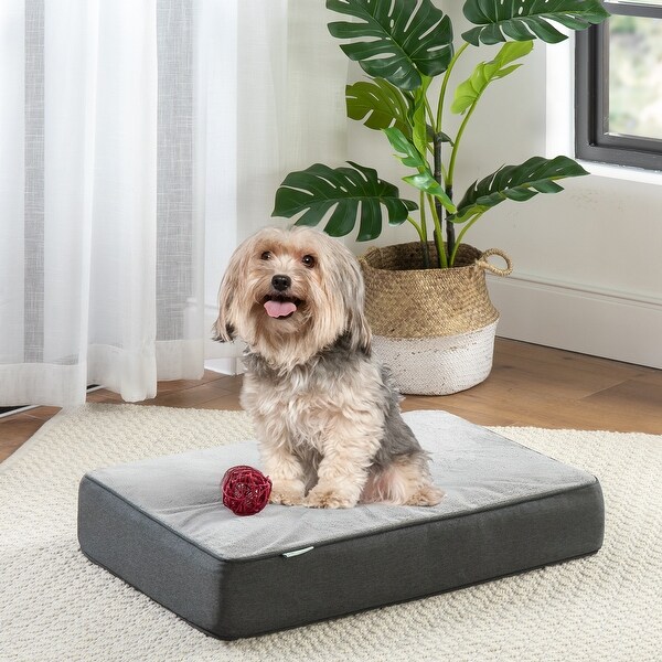 Treat a dog memory foam bed online