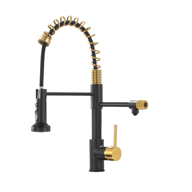 Modern Kitchen 2-Function Sink Faucet With Pull Down Sprayer - 8.8''W x 19.6''H