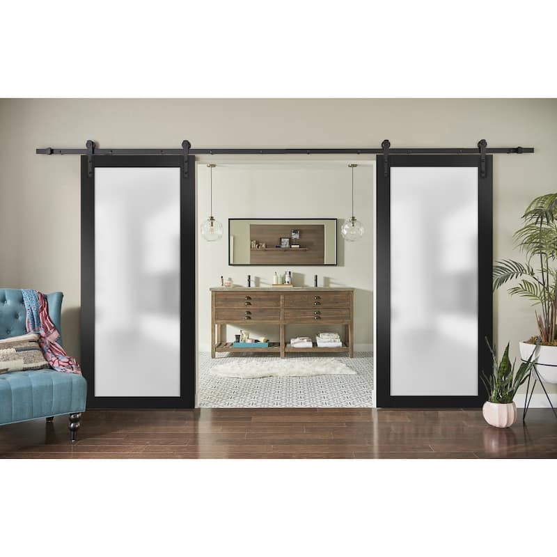 Slab Barn Door Panel Frosted Glass Lite / Planum 2102 Black Matte