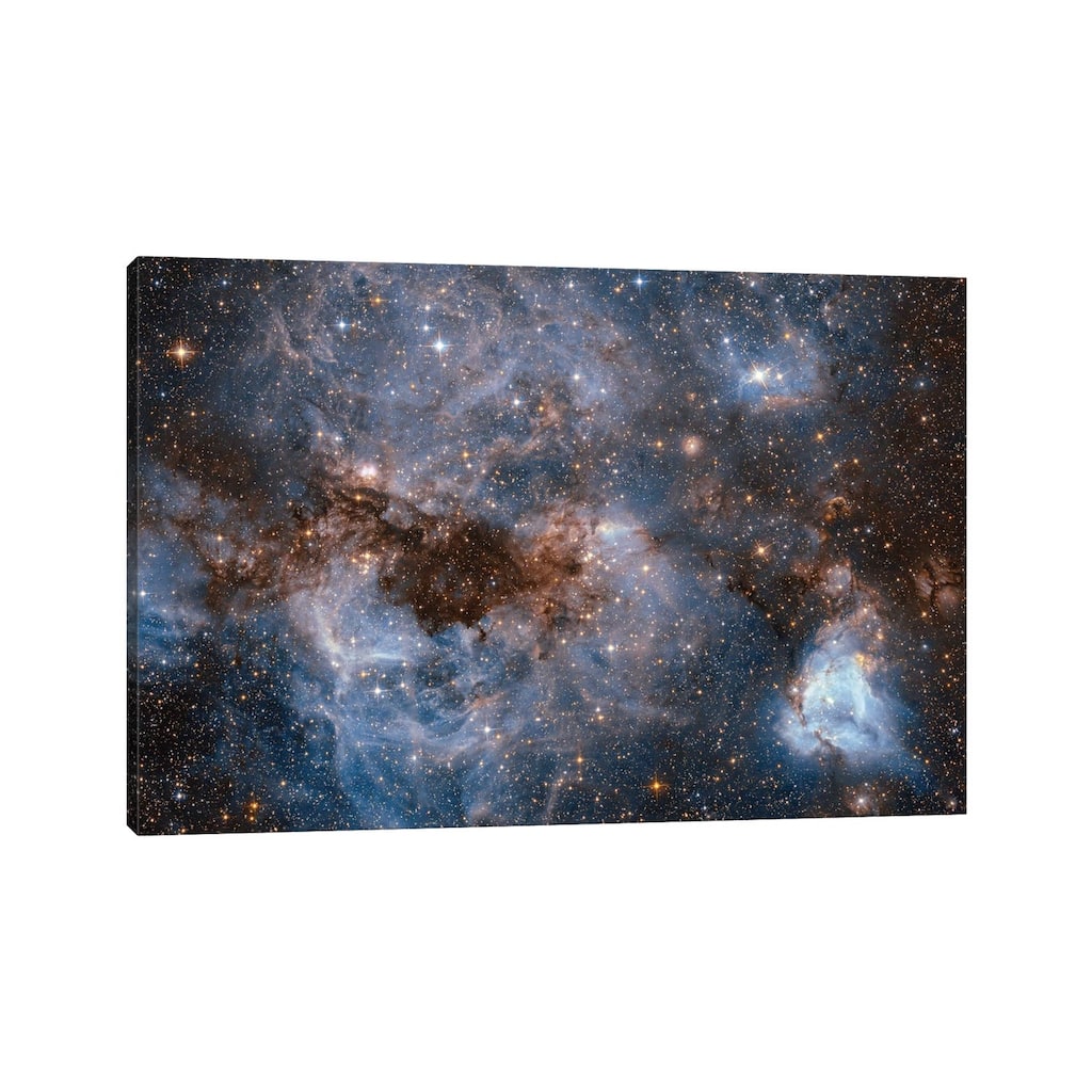 iCanvas "Maelstrom Of Glowing Gas And Dark Dust, Papillon Nebula, N159" by NASA Canvas Print