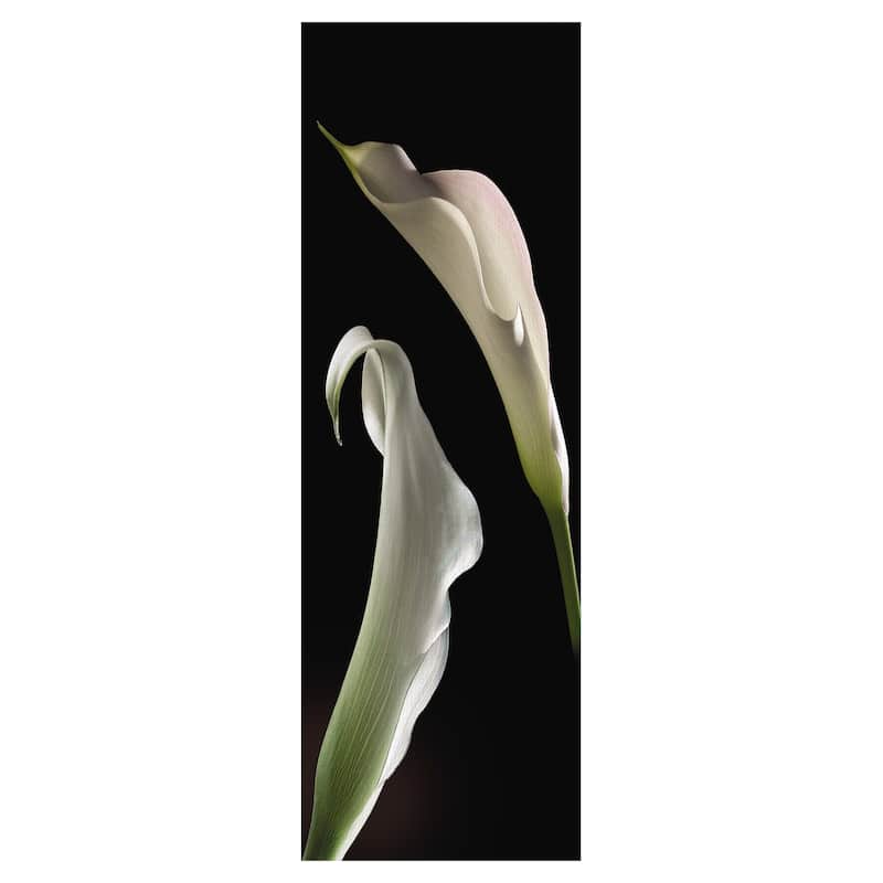 Calla Lilies Panel II Canvas Art Print