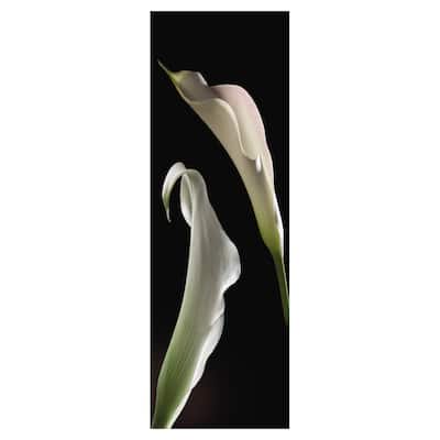 Calla Lilies Panel II Canvas Art Print