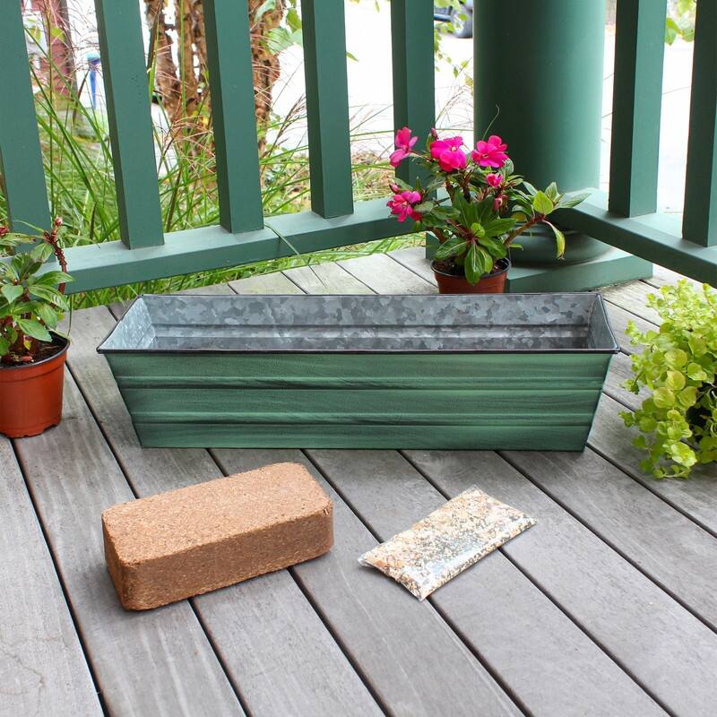Achla Designs 22" W Galvanized Steel Bloom Box Garden Growing Kit