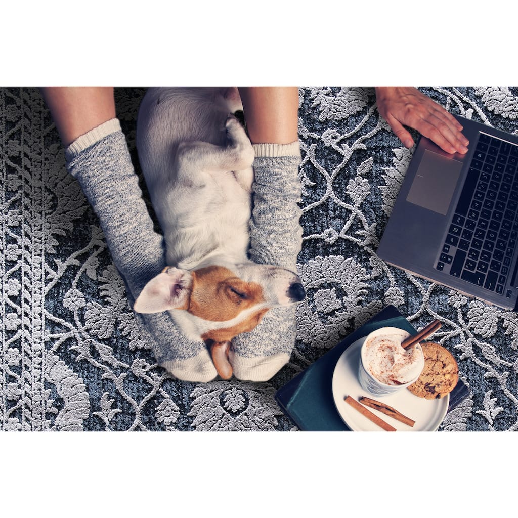 Dynamic Rugs Torino Transitional Area Rug