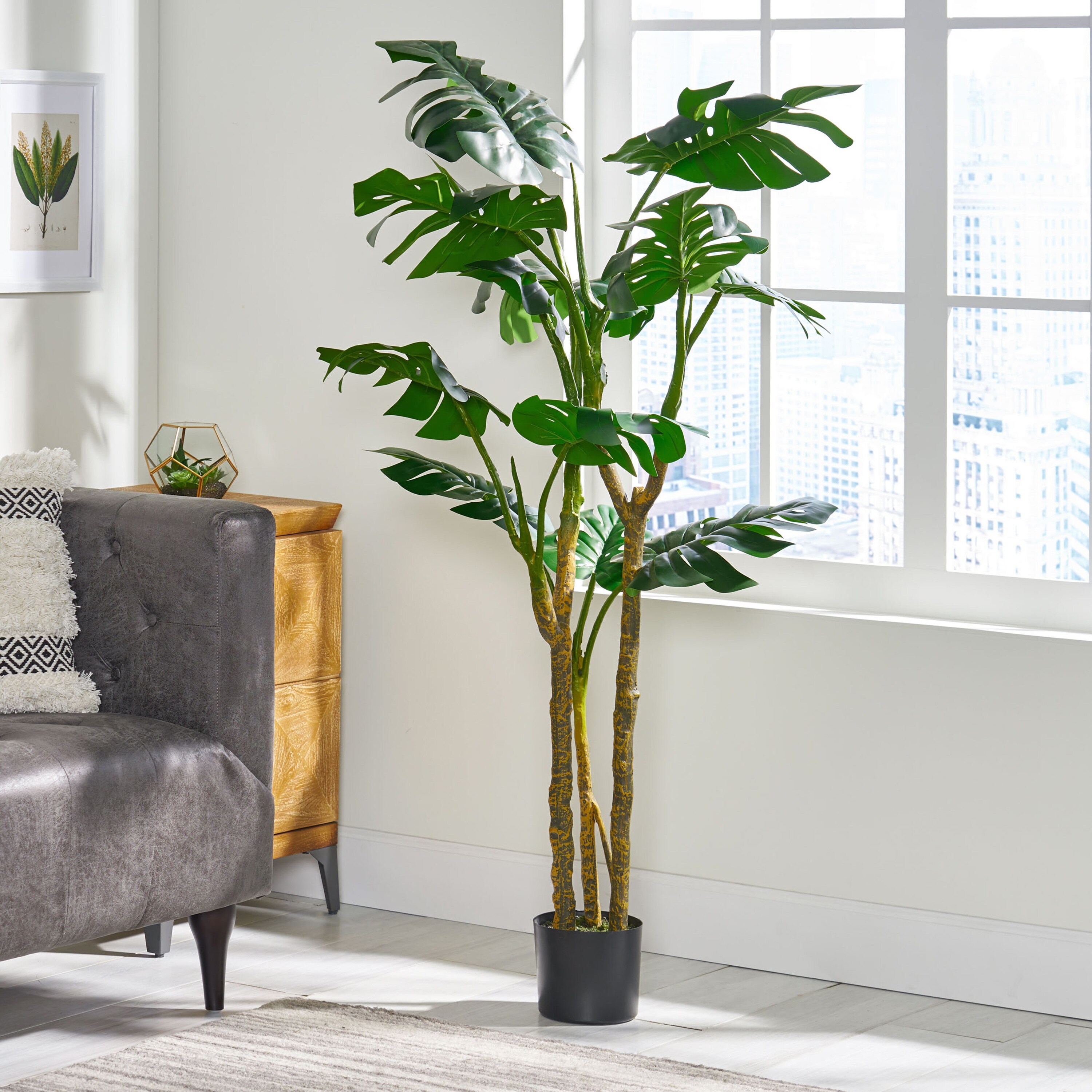 Monstera Tree with Unique Cleft Leaves and Long Branches, Topiary Tree with  Realistic Trunk, Live Indoor Plant with Dried Moss - Bed Bath & Beyond -  41494767