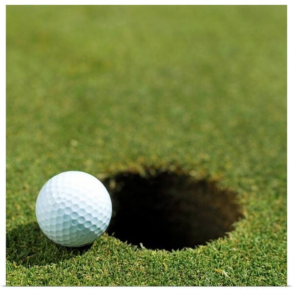 Golf Ball On The Edge Of The Hole Poster Print Overstock 16378580