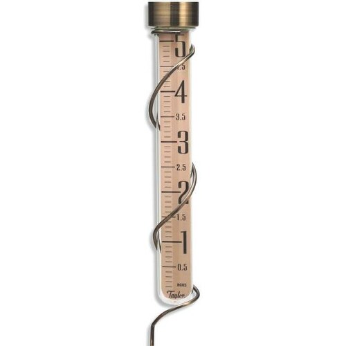 Taylor 484BZ Glass Rain Gauge, Bronze, 26.95" Tall