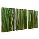 preview thumbnail 3 of 1, 'Maui Palms II' 3-Piece Wrapped Canvas Wall Art Set by Chris Doherty - Green