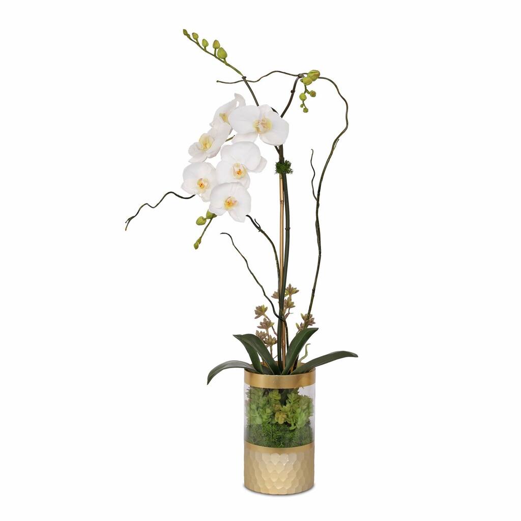 Silk Cream White Orchid Succulent Arrangement in Round Gold Glass Vase - 10W x 6.5D x 19H
