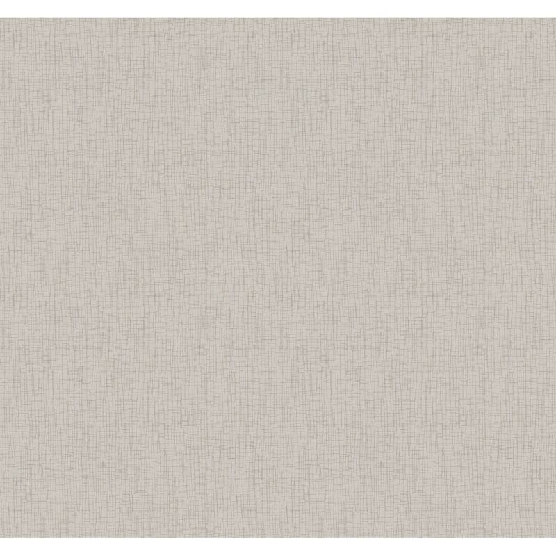 Warner Aden Light Grey Linear Abstract Wallpaper
