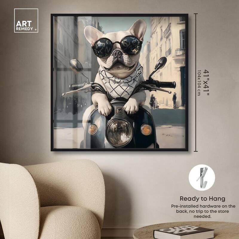 Frenchie on a Scooter Drive Shadowbox by Art Remedy