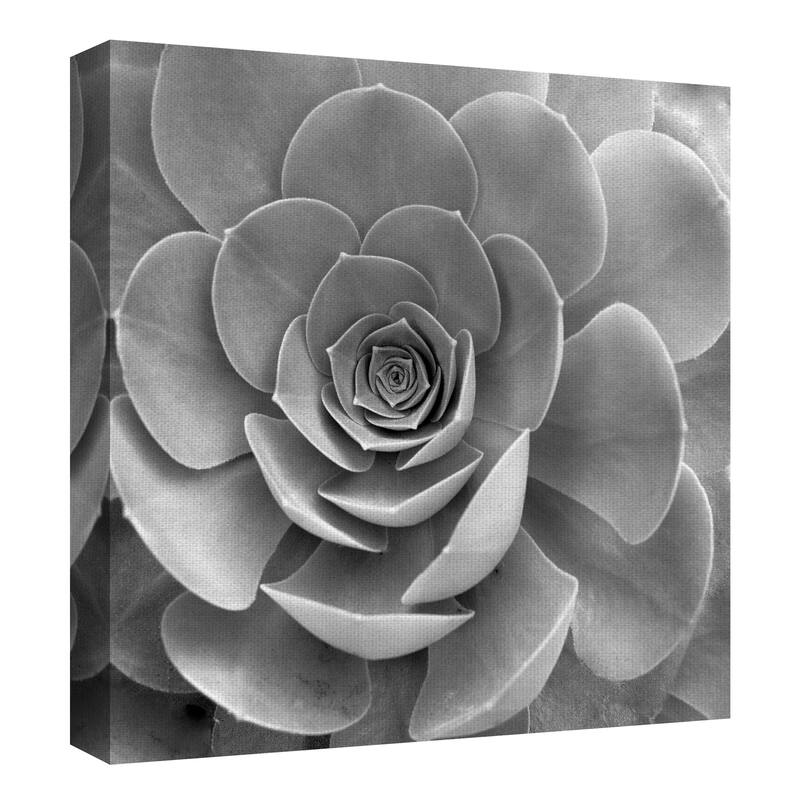 Floral #22 by Alan Blaustein Canvas Art Print