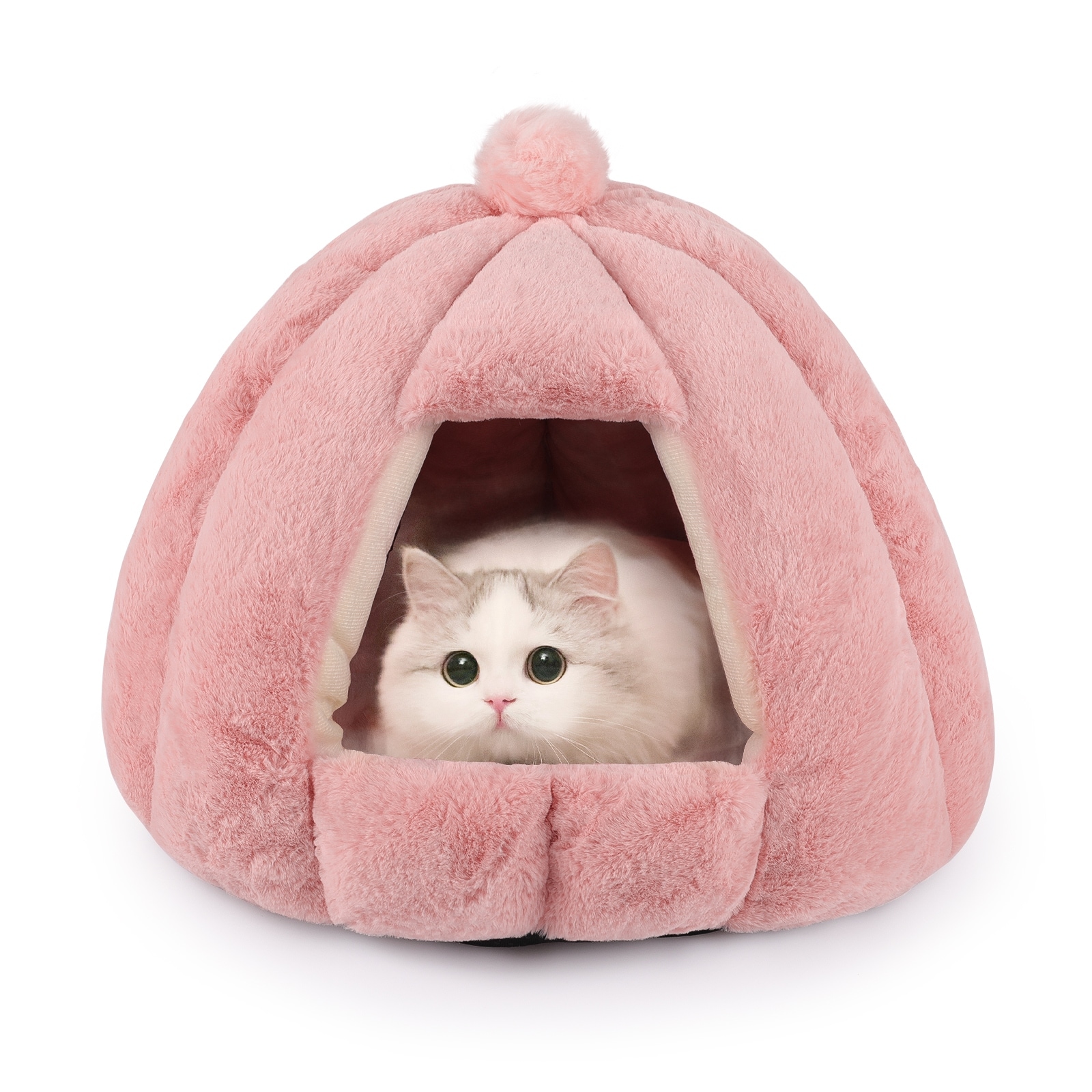 Bed bath and beyond cat online
