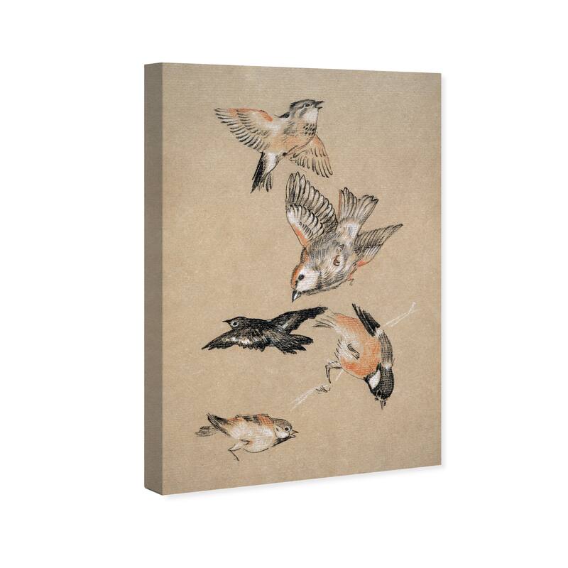 Wynwood Studio Canvas Animals Finches Brown and Tan Rustic Wall Art Canvas Print