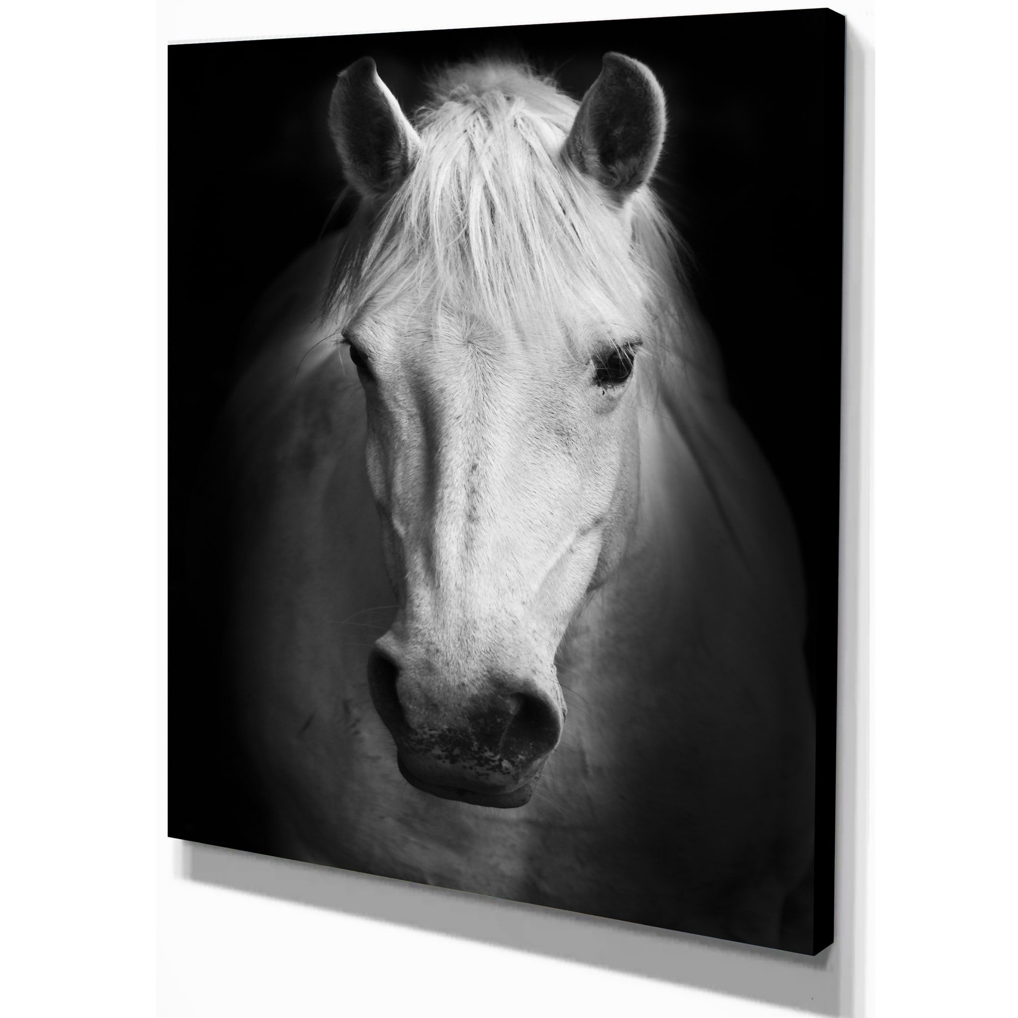 A646 Black White Geometric Horse Funky Animal Canvas Wall Art  Picture Prints