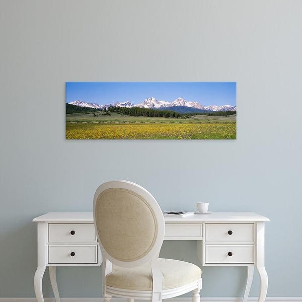 Easy Art Prints Panoramic Image 'Flowers, Mountains, Sawtooth National Recreation Area, Stanley, Idaho' Canvas Art