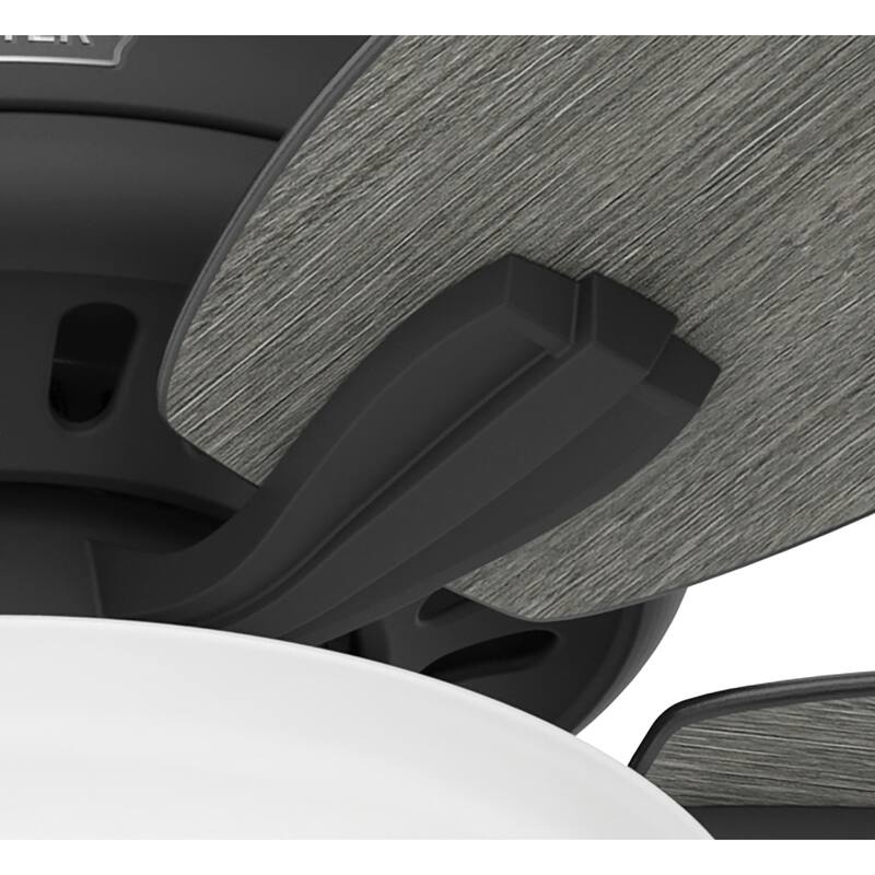 Hunter 52" Newsome Ceiling Fan with LED Bowl Light Kit and Pull Chain