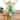 St. Patrick's Day Celtic Fairy Sitter Figurine - 10.000 x 7.880 x 5.750