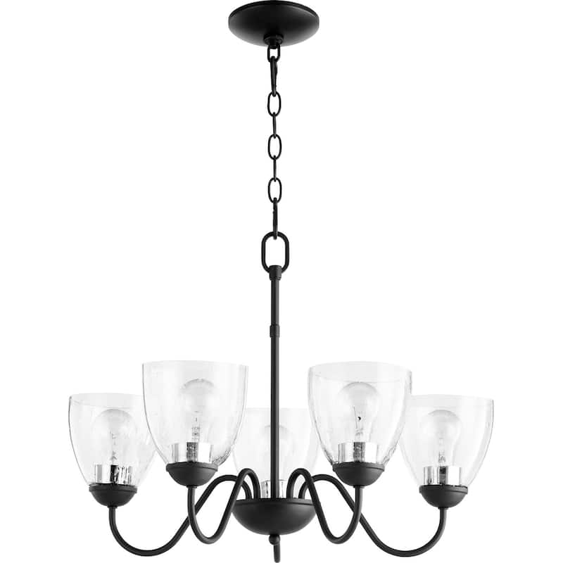 Quorum International 5 Light 23" Wide Chandelier - Noir