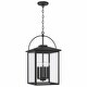preview thumbnail 1 of 2, Bryson 4-light Black Outdoor Hanging Pendant w/ Clear Glass