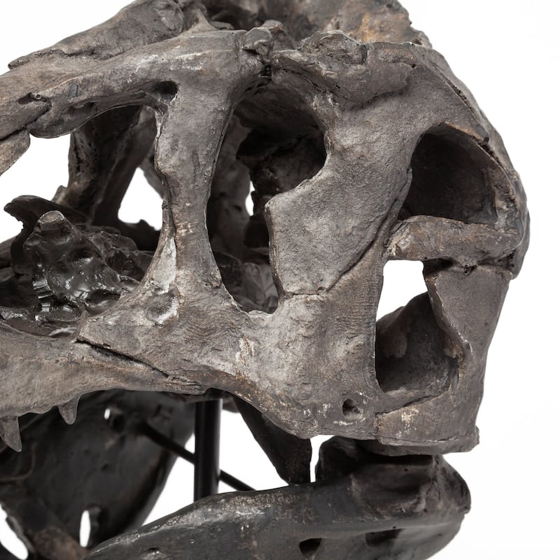 HomeRoots Brown Resin Tyrannosaurus Rex Skull Decor Piece - 10' X '12' X '6