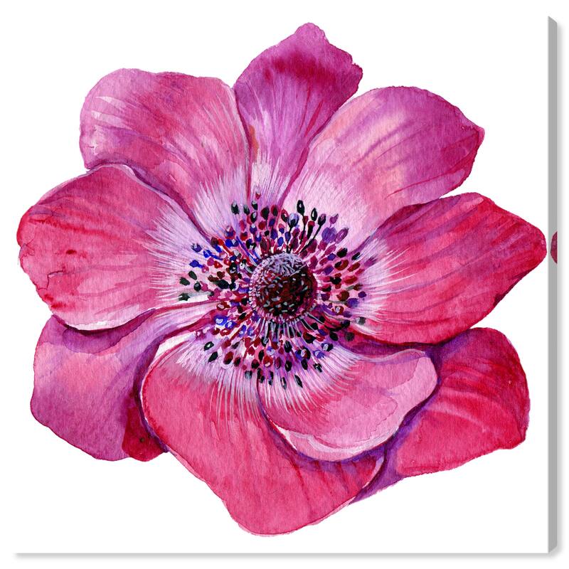 Wynwood Studio Canvas Floral and Botanical Transitional Magenta Floral Pink and Traditional Wall Art Canvas Print