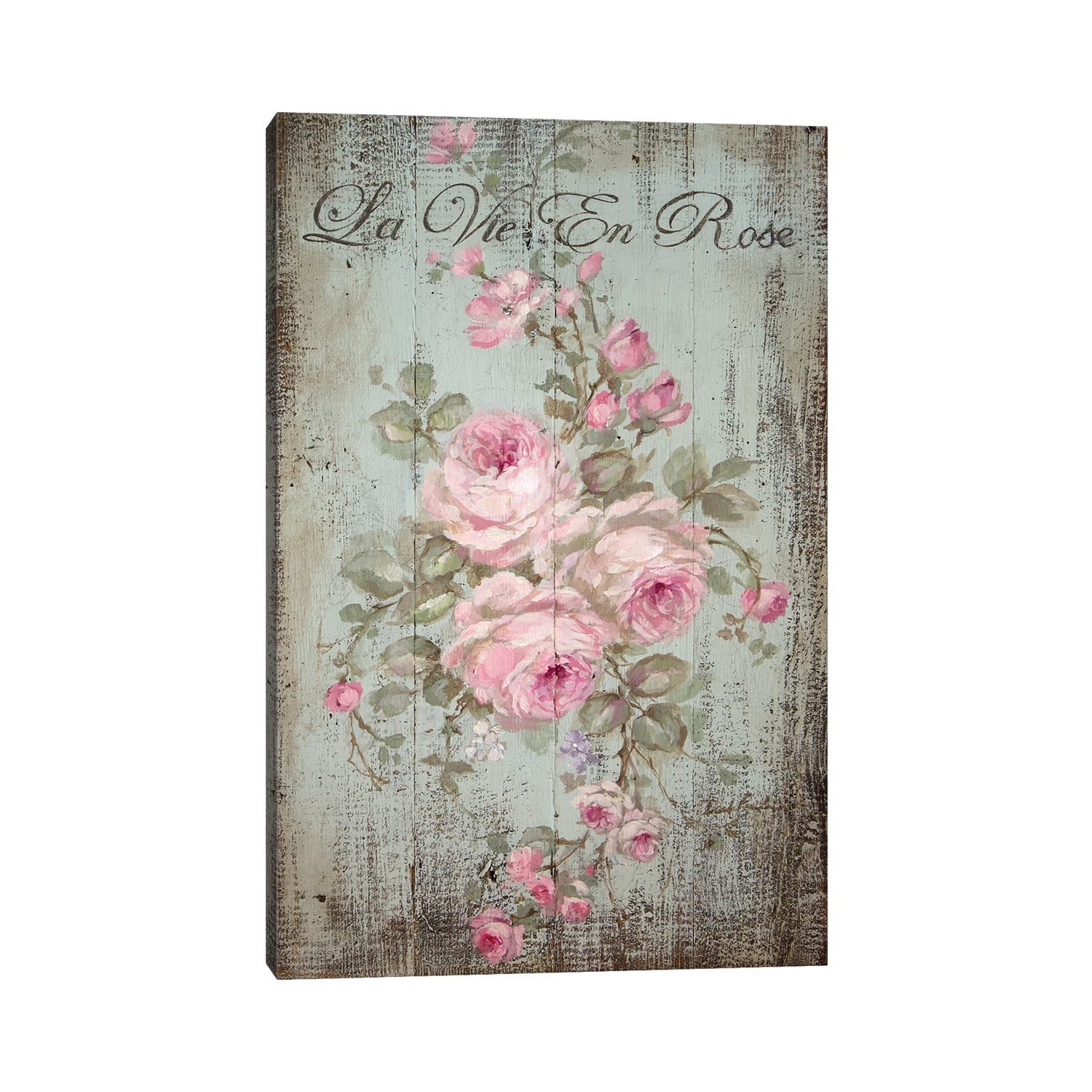 iCanvas "La Vie En Rose" by Debi Coules Canvas Print