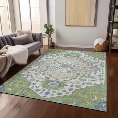 Machine Washable Indoor/ Outdoor Traditional Medallion Chantille Rug