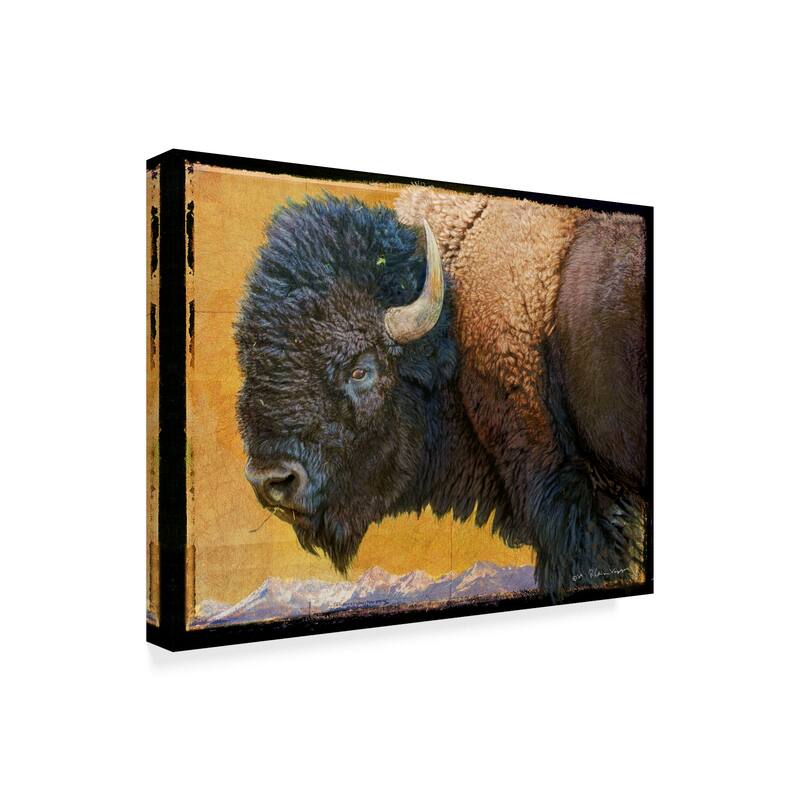 Chris Vest 'Bison Portrait Iii' Canvas Art