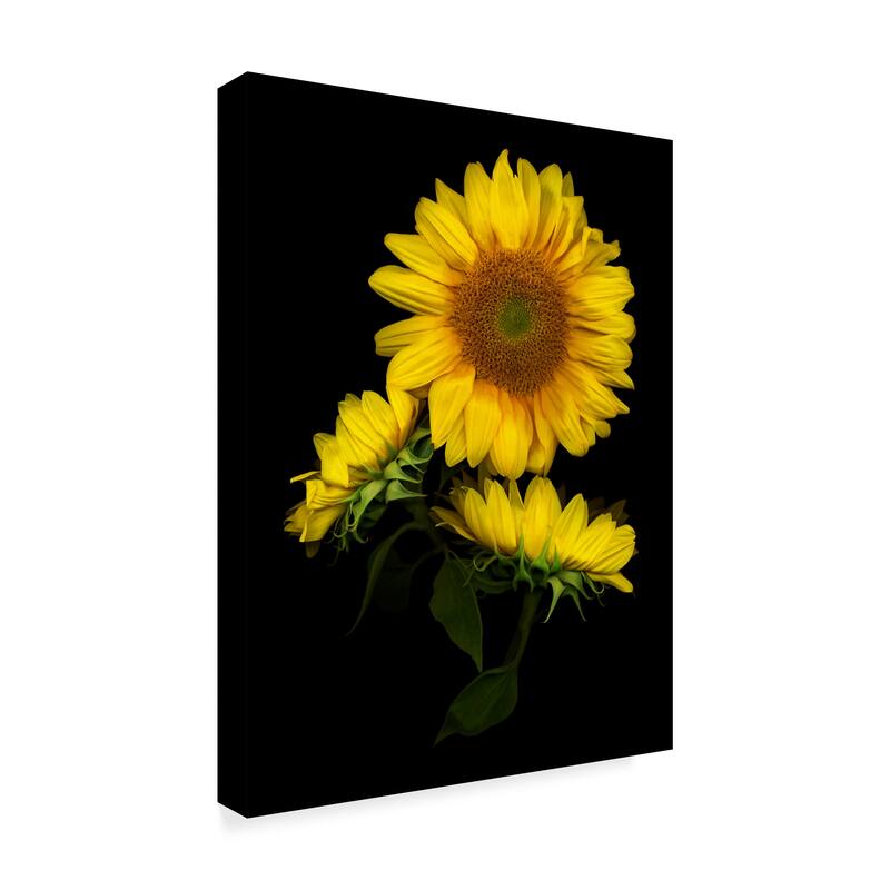 Susan S. Barmon 'Sunflower 3' Canvas Art