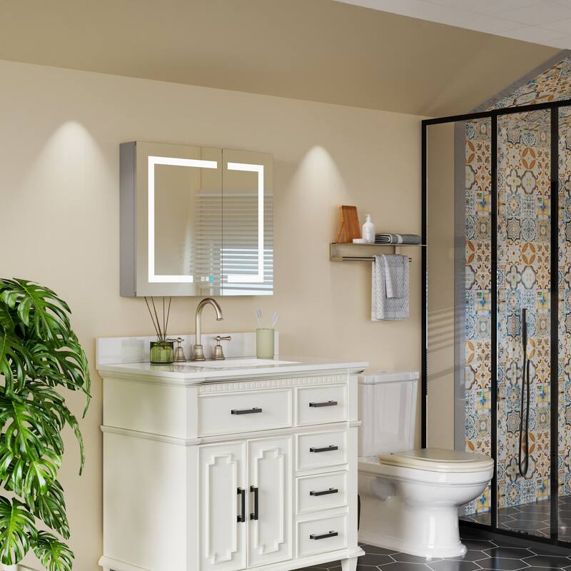 ExBrite LED Lighted Bathroom Medicine Cabinet with Mirror,Recessed or Surface Mount,Defog, Stepless Dimming - 30'' x 26'' - 30'' x 26'' - Mirrored Finish - Silver