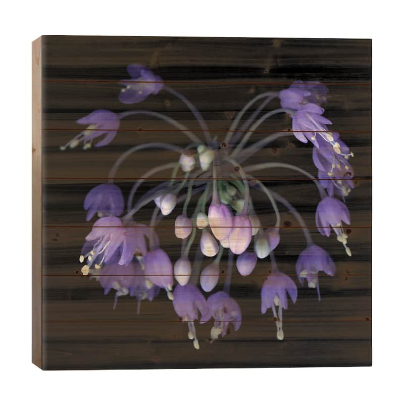 Allium Fireworks Print On Wood by Magda Indigo - Multi-Color - 26x26x1.5