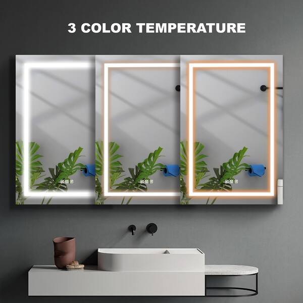 LED Lighted Bathroom Medicine with Mirror 36X60 Bed Bath