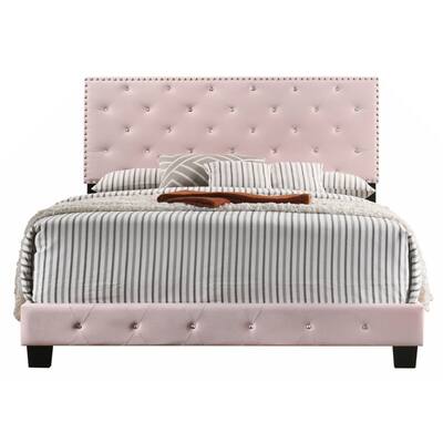 Pink Velvet Platform Bed with Nailhead Trim, Full Size