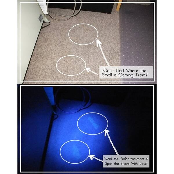 Shop Agptek 12 Ultraviolet Led Uv Light Pet Urine Stain Detector