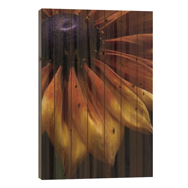 Rudbeckia Summerina Print On Wood by Alyson Fennell - Multi-Color - 26x18x1.5