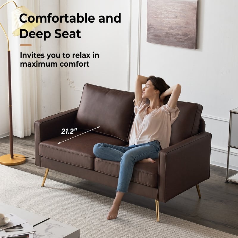 VINGLI 56" Modern Loveseat