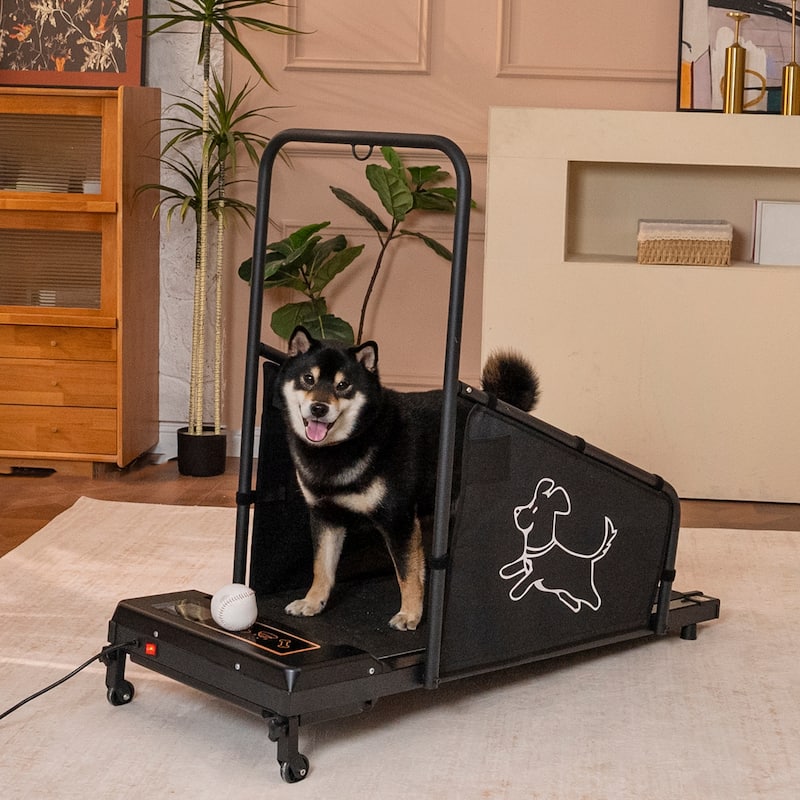 Dog Treadmill for Medium Dogs, Dog Pacer Treadmill for Healthy Fit Pets, Dog Treadmill Run Walk - Black