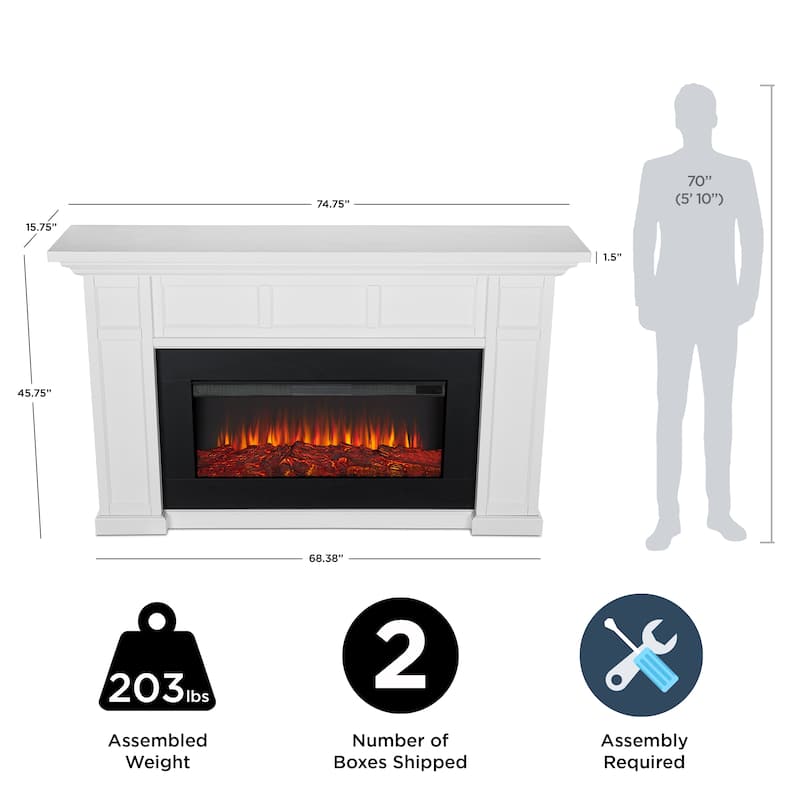 Alcott 75" Landscape Electric Fireplace by Real Flame