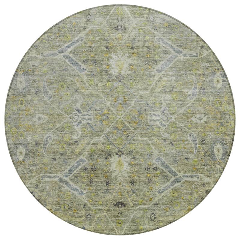Machine Washable Indoor/ Outdoor Vintage Traditional Chantille Rug