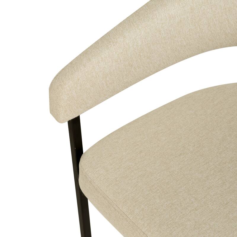 LeisureMod Set of 2 Aero Upholstered in Leather Dining Chair in Iron Accent Armchair in Polyester for Home & Kitchen
