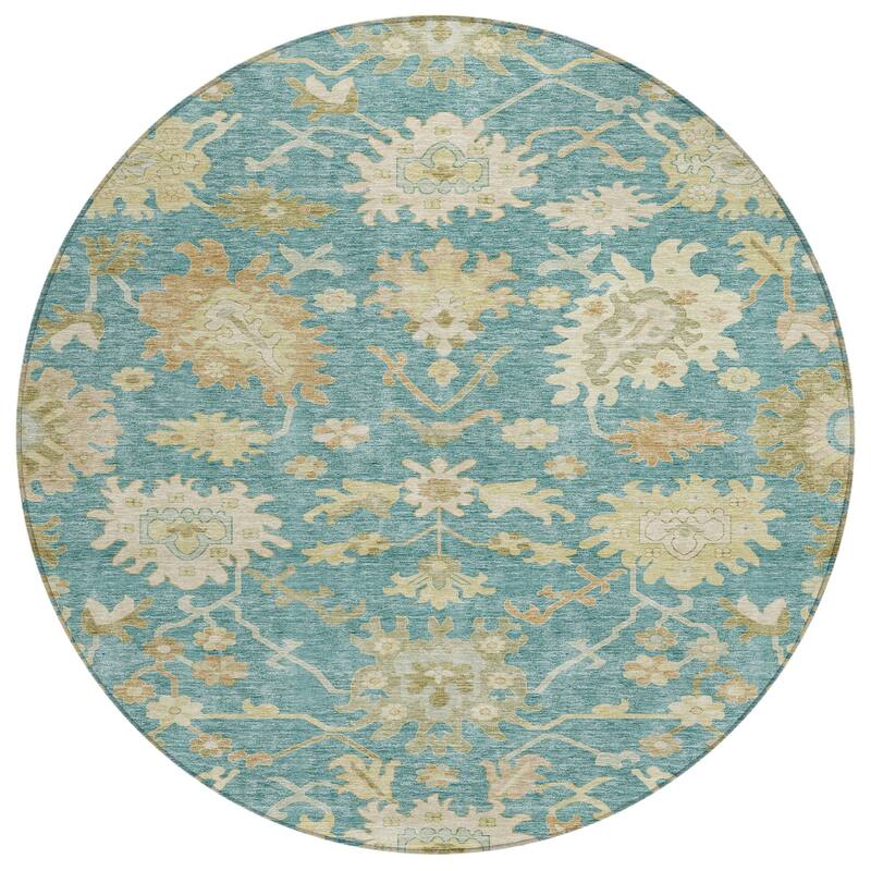 Machine Washable Indoor/ Outdoor Traditional Casual Chantille Rug