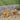Metropol Outdoor Acacia Wood Bench by Christopher Knight Home