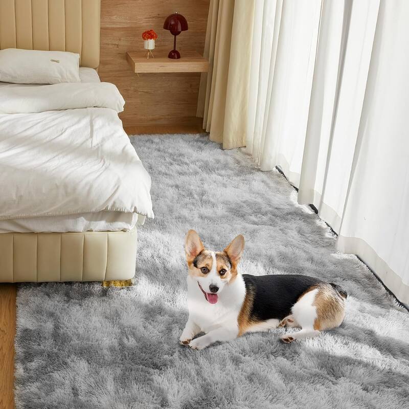 4X6 Fluffy Shag Area Rugs, Super Soft Rugs for Living Room