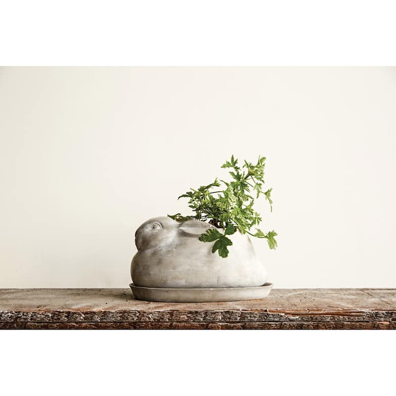Cement Rabbit Planter with Saucer
